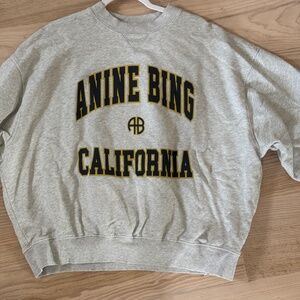 Anine bing sweatshirt
